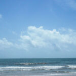 Aaroha_Blog (1)