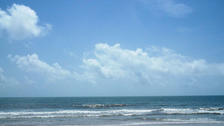 Aaroha_Blog (1)